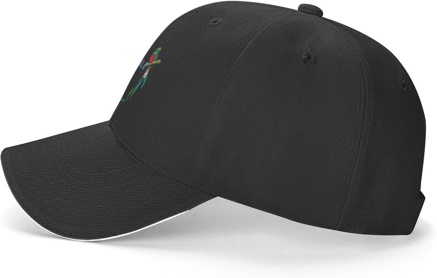 Classic Baseball Caps Adjustable Sandwich Cap, Black Casquette Hats Outdoor Trucker Hat