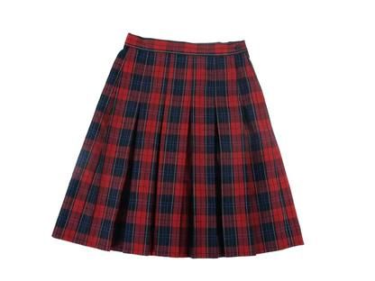 Women's basic mini A-line skirt, school uniform customization.