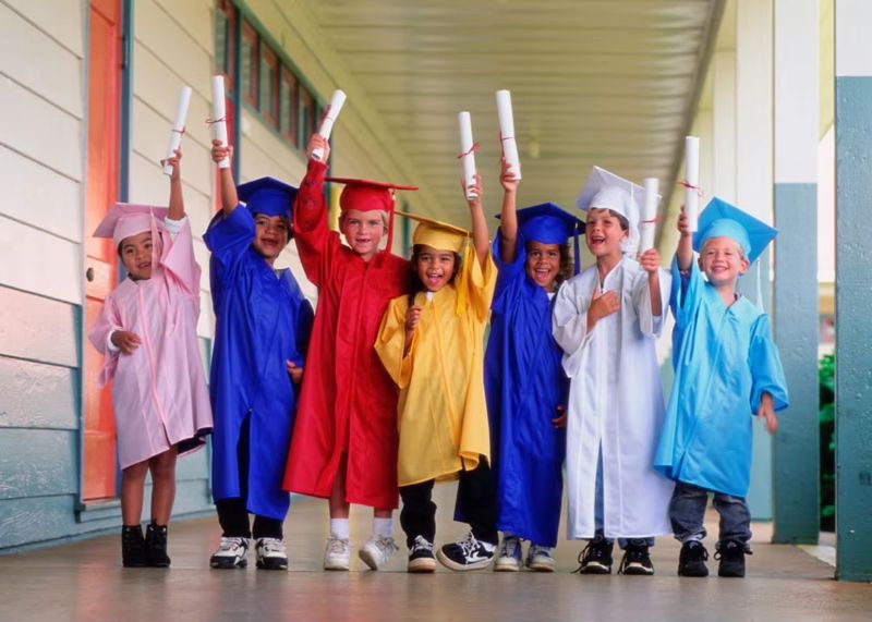 Graduation Gown for Professional and Specific Ceremony