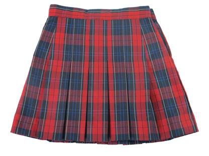 Women's basic mini A-line skirt, school uniform customization.